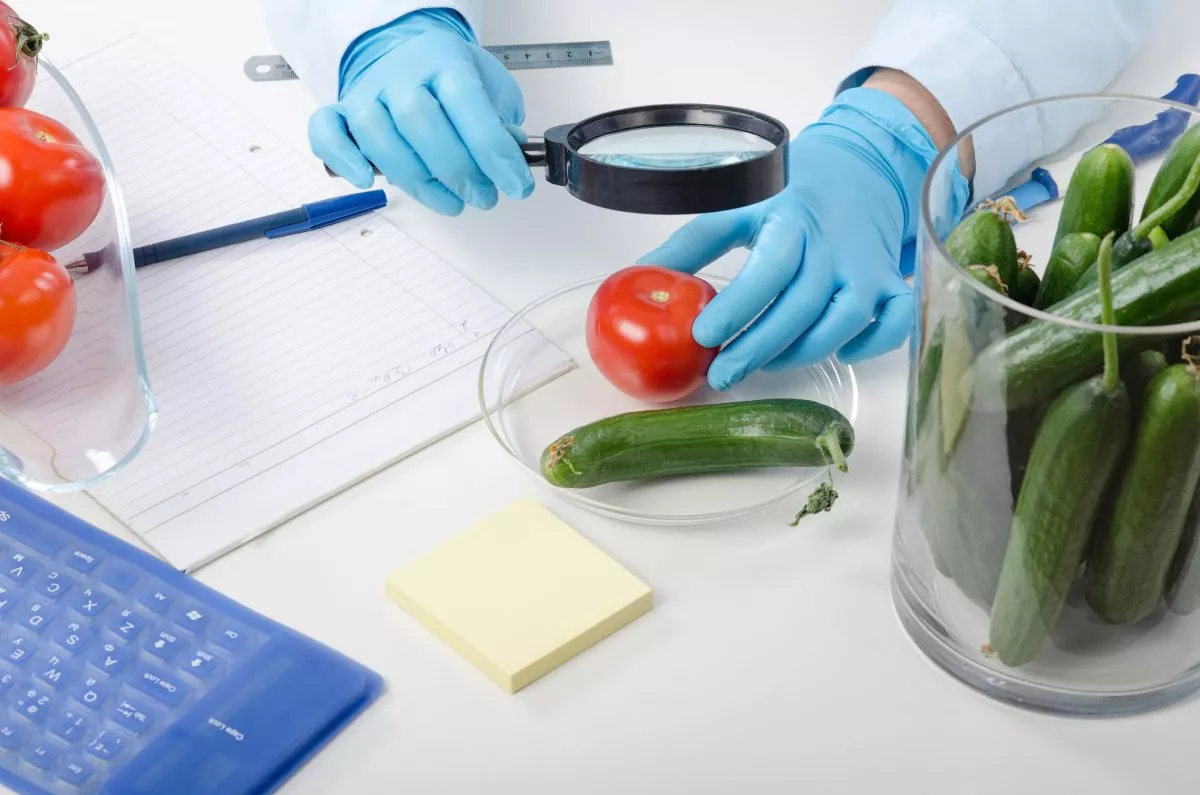 תכנית בטיחות מזון בבקרה עצמית עפ עקרונות HACCP תכנית בטיחות מזון בבקרה עצמית עפ עקרונות HACCP