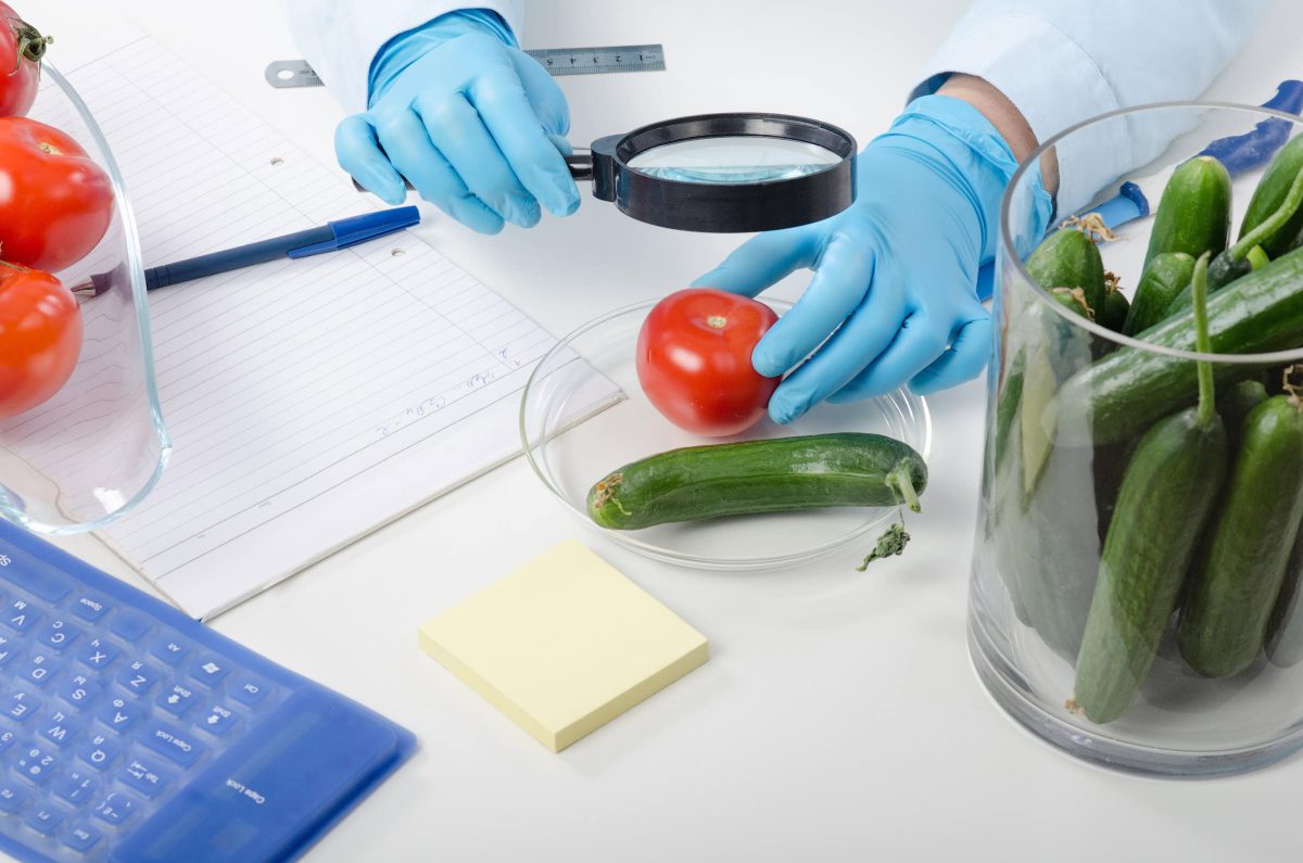 תכנית בטיחות מזון בבקרה עצמית עפ עקרונות HACCP